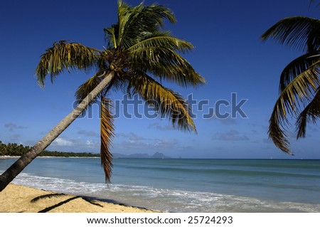 Martinique Les Salines