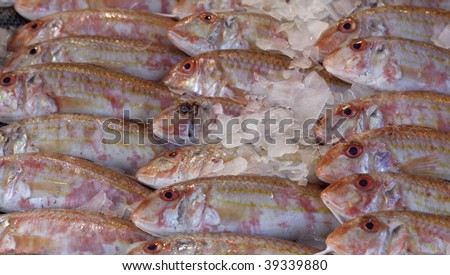 stall of fishes at the fish merchant