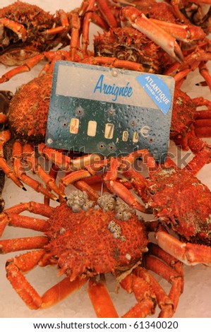 spider crabs at the Trouville market in Normandy