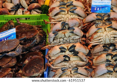 crabs at the Trouville market in Normandy