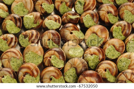 French gastronomy, Bourgogne snails