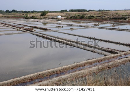 salt evaporation pond in Guerande