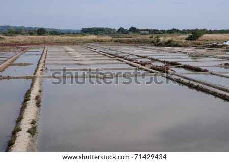 salt evaporation pond in Guerande