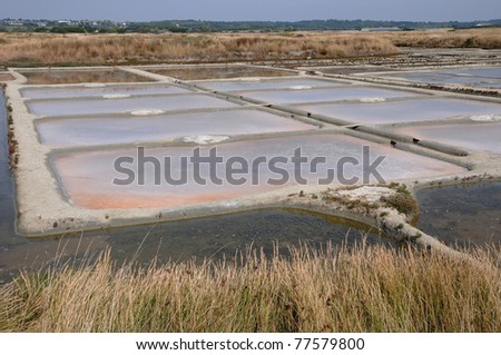 France, salt evaporation pond in Guerande