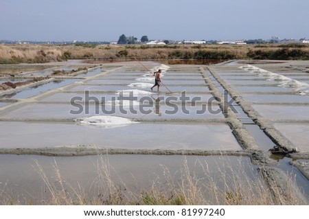 France, salt evaporation pond in Guerande