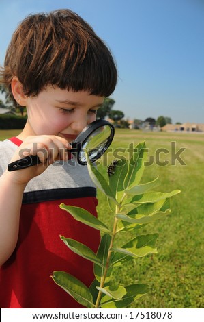 A young boy, in about first grade, looks closely at a caterpillar on the leaf of a milkweed plant with a school in the background