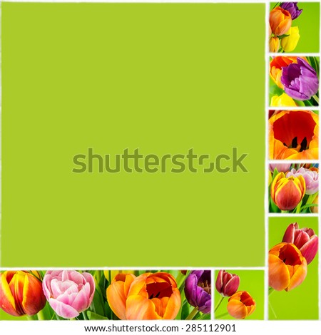 collage of tulips on green background on white ceramic mosaic tile, natural style, center of this collage can be used for text
