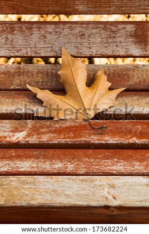Autumn Leave over wooden surface