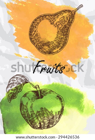 Hand drawn fruit. Pear and apple fruits vector illustration. Eco food