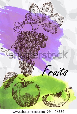 Hand drawn fruit. Grape and apple fruits vector illustration. Eco food