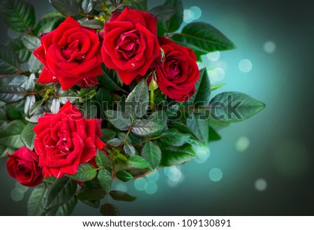 Roses Bunch design