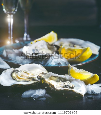 Fresh Oysters close-up on blue plate, served table with oysters, lemon and ice. Healthy sea food. Oyster dinner with champagne in restaurant. Gourmet food