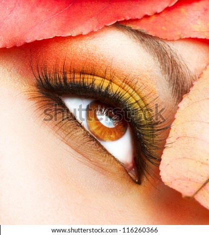 Autumn Makeup. Fall Make-up Closeup