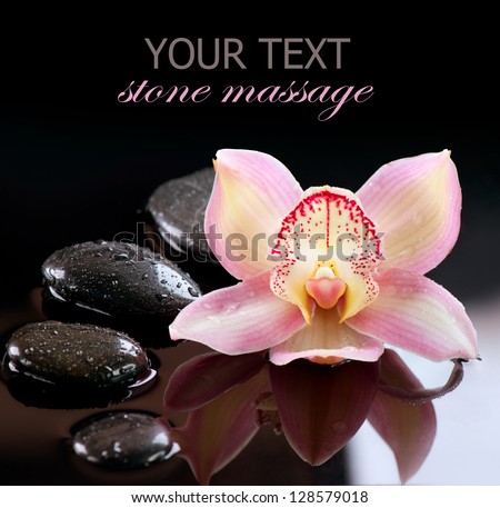 Spa Stones and Orchid Flower. Stone Massage. Black Basalt Stones over Dark Background