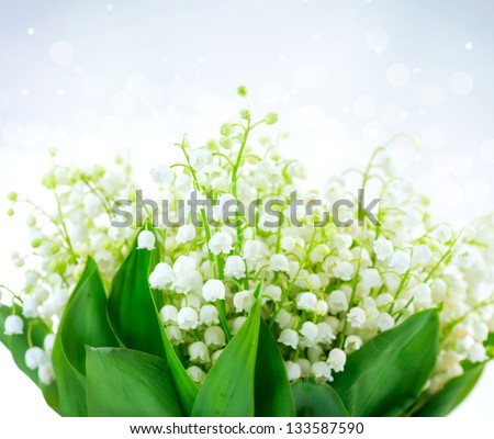 Lily-of-the-valley Flowers Design. Bunch of White Spring Flower