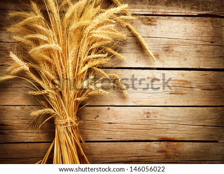 Wheat Ears On The Wooden Table. Sheaf Of Wheat Over Wood Background. Harvest Concept