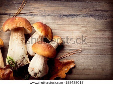 Mushroom Boletus Over Wooden Background. Autumn Cep Mushrooms
