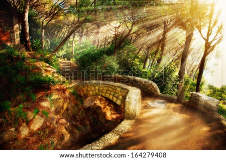 Mystical Park. Old Trees and Ancient Stone Bridge. Pathway. Misty Forest. Fantasy Landscape