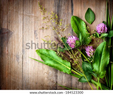 Herbal background Stock Images - Search Stock Images on Everypixel