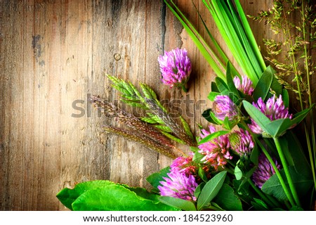 Herbs over Wooden background. Grass on wood. Treatment Plant. Herbal Medicine. Spring Herbal Background.