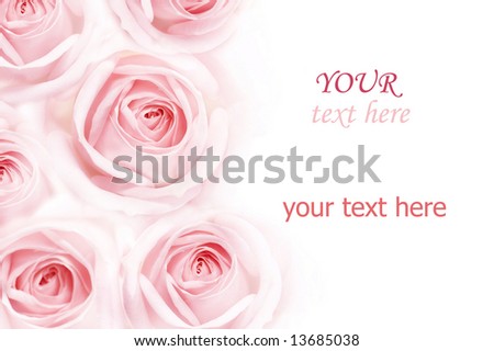 Beautiful Roses border