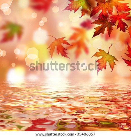 Beautiful Fall Scenes