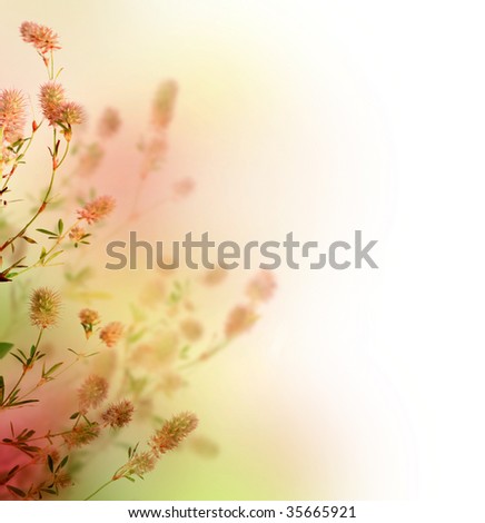 Beautiful Pastel Floral Border Beautiful Pastel Floral Border