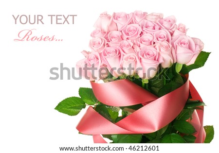 ig pink roses pictures. stock big pink roses pictures. ig pink roses pictures. stock