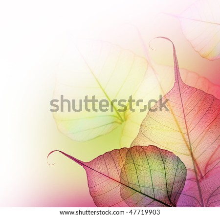 Beautiful Floral Border-Leaves