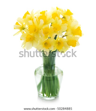 daffodils poem. daffodils poem by william