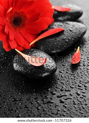 Wet Spa Stones and Red flower