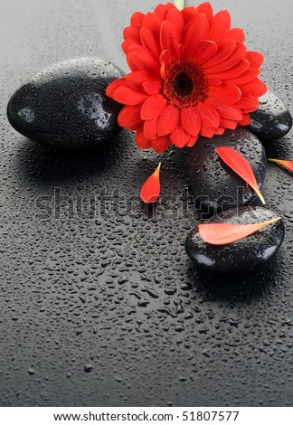 Zen Spa Wet Stones and red flower