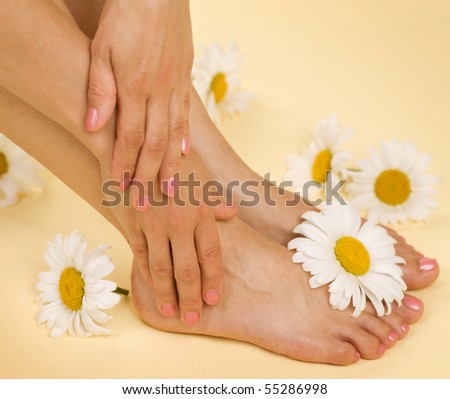 Herbal Spa.Feet and Hands with daisy flowers