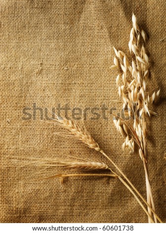 Wheat Ears on Burlap background.Country Style.With copy-space