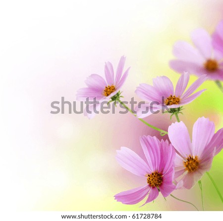 Beautiful Flowers Border.Floral design over white Beautiful Flowers Border.Floral design over white