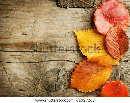 Autumn Leaves over wooden background.With copy space