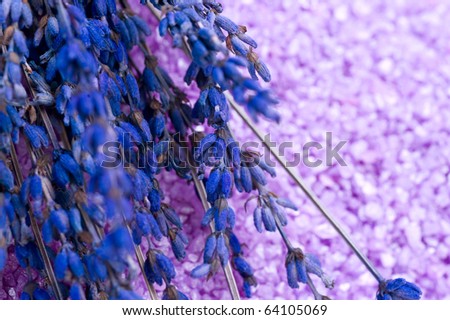 Lavender Spa treatment