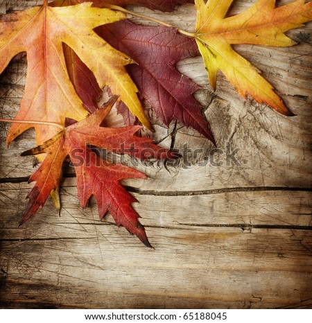 Autumn Leaves over wooden background.With copy space