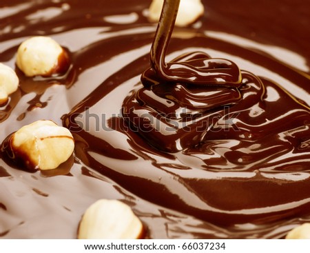 Forum Image: http://image.shutterstock.com/display_pic_with_logo/195826/195826,1290901554,1/stock-photo-chocolate-with-hazelnuts-66037234.jpg