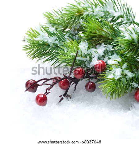 Christmas Tree and Decorations over Snow background