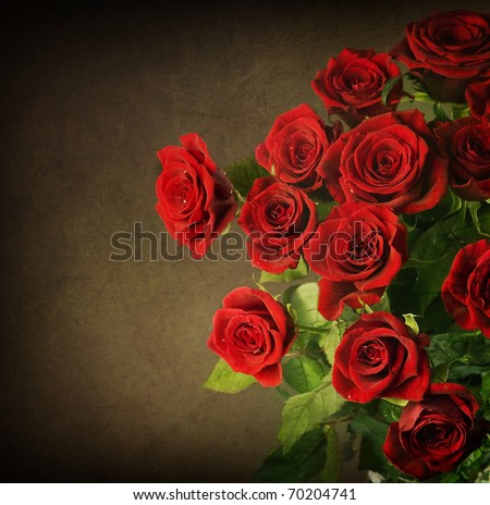 Big Pictures Of Red Roses. stock photo : Big Red Roses
