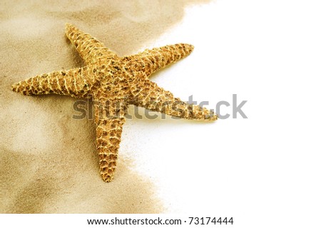 Starfish on the Sand border design.Isolated on white.Vacation concept