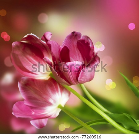 Anniversary Flowers on Flowers Anniversary Card Design Stock Photo 77260516   Shutterstock
