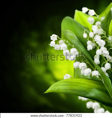 Lily-of-the-valley flowers design