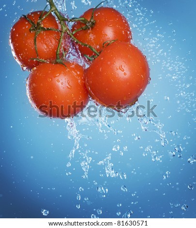 Healthy Organic Tomato and Water Splash