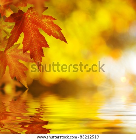 Fall.Autumn Background