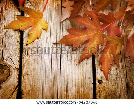 stock photo : Autumn Leaves over wooden background.With copy space