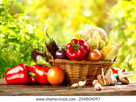 Vegetables. Fresh Bio Vegetable in a Basket. Over green blurred Nature Background. Organic vegetables. Harvest concept. Harvesting