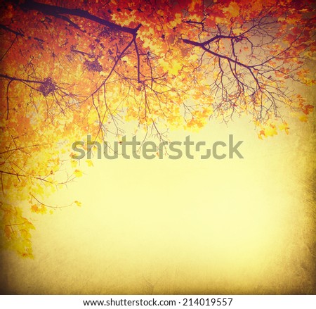 Autumn background. Fall Abstract vintage autumnal border background with colorful leaves