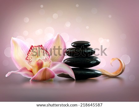 Spa Stones and Orchid Flower. Stone Massage. Black Basalt Stones over Pink Background